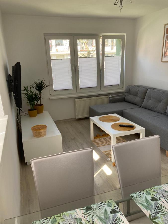 Apartament Uznamska Ambasada 슈비노우이스쳬 외부 사진